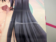 SAMPLE