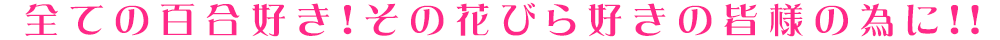 全ての百合好き!その花びら好きの皆様の為に!!